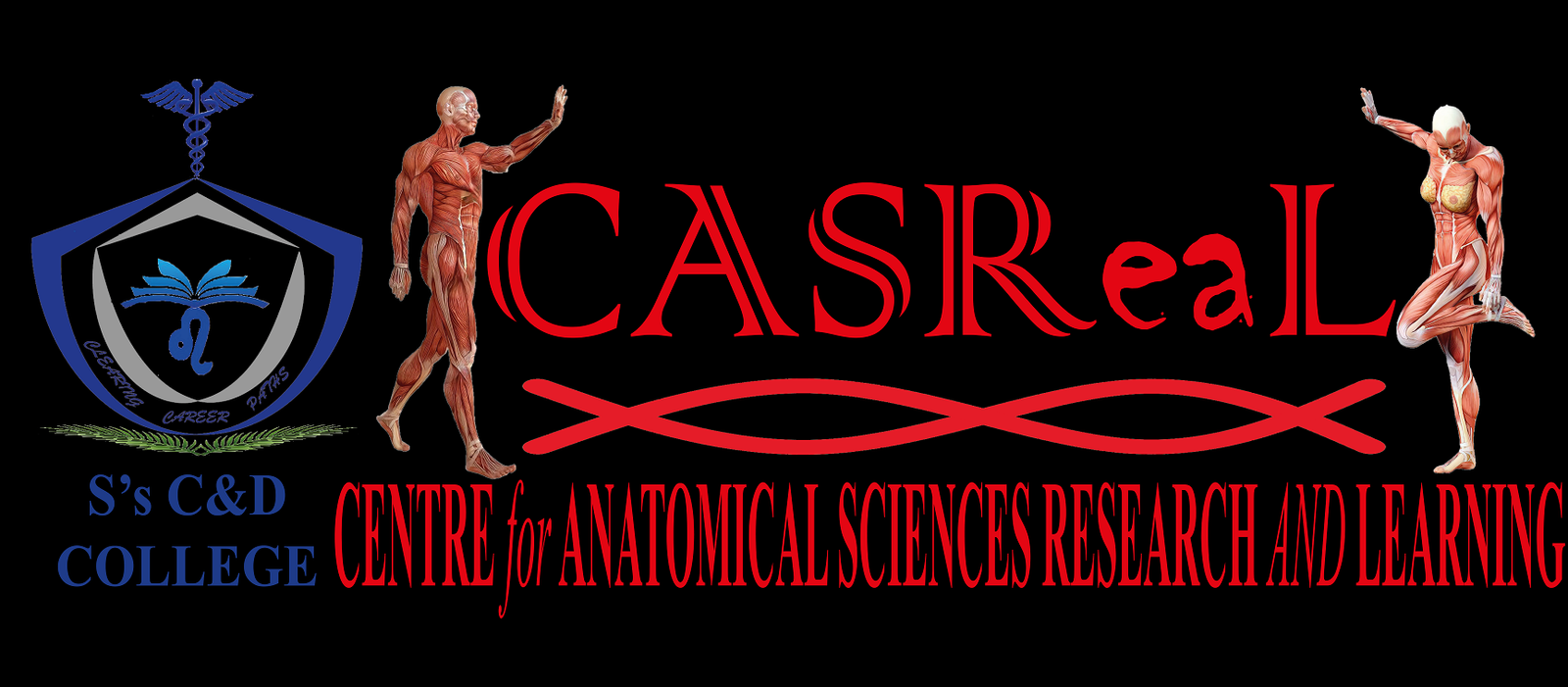 Centre for Anatomical Sciences Research and Learning