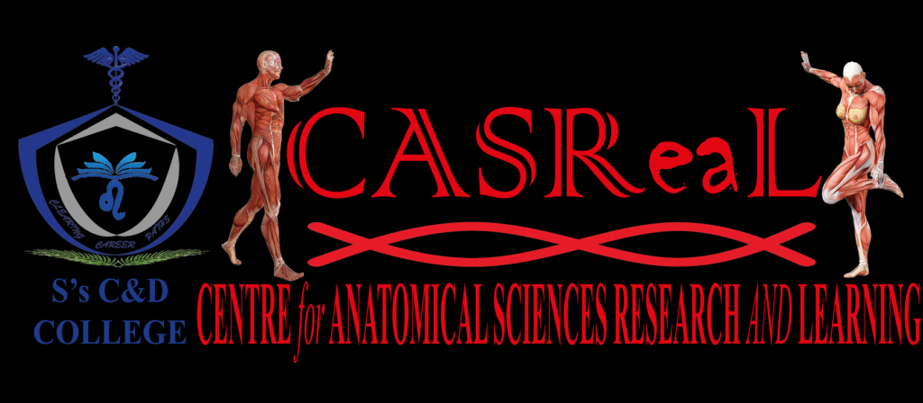 Centre for Anatomical Sciences Research and Learning