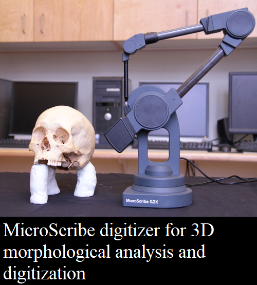 CASReaL 3D microscribe digitizer