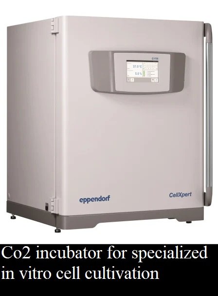 CASReaL Co2 incubator