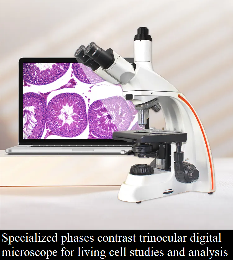 CASReaL Digital phase contrast microscope