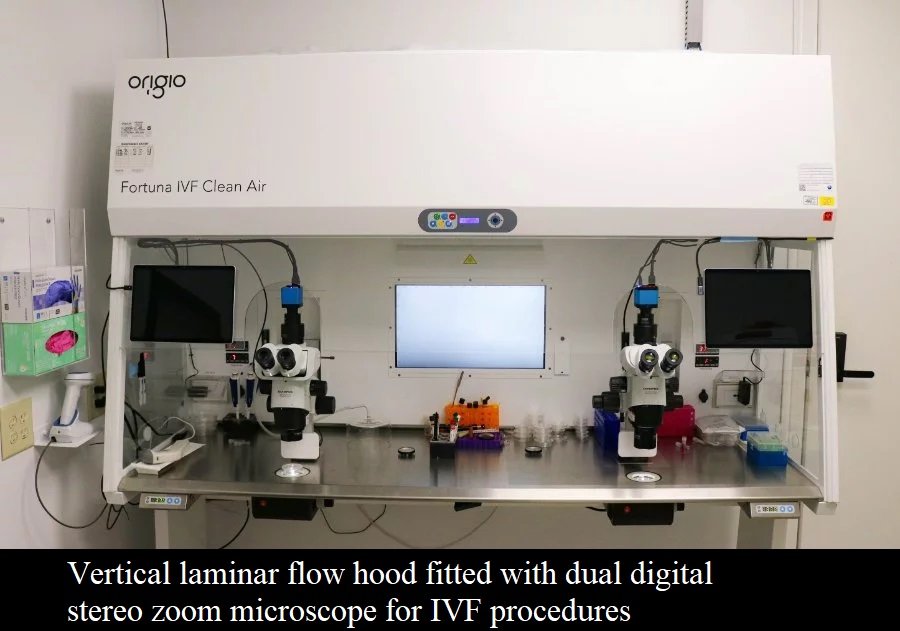 CASReaL IVF vertical laminar flow