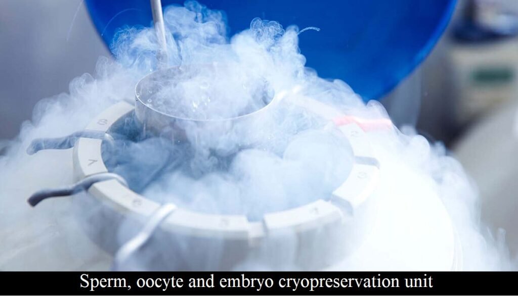 CASReaL Sperm, oocyte and embryon cryopreservation unit