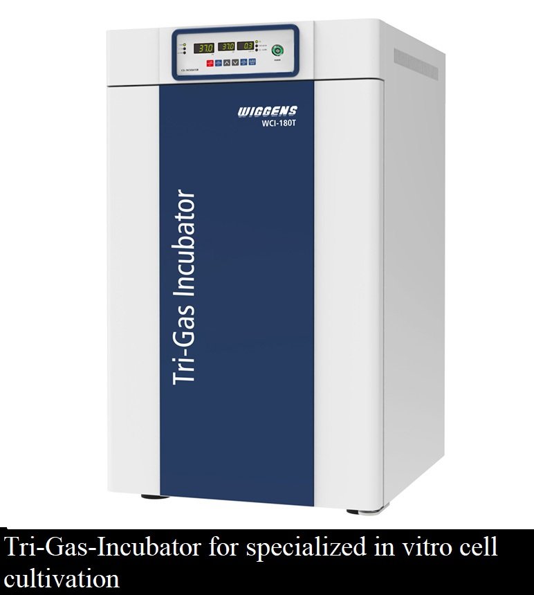 CASReaL Tri-Gas-Incubator-180LT