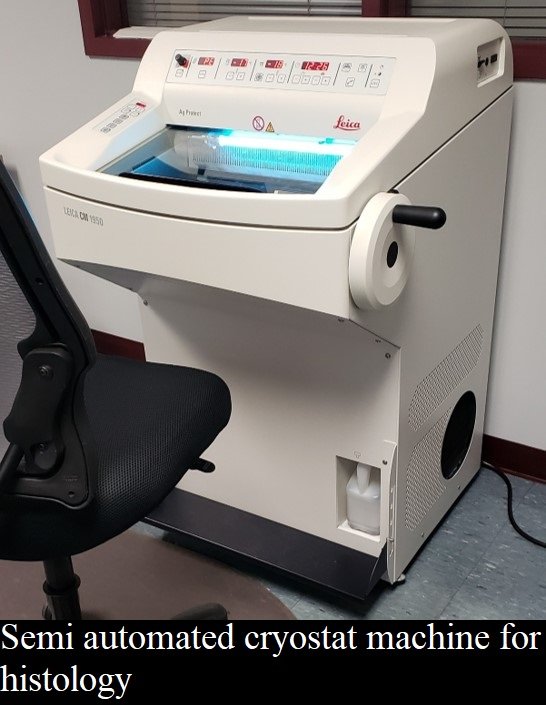 CASReaL cryostat