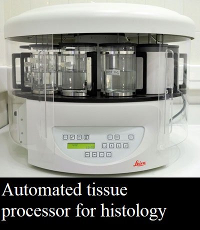 CASReaL histo tissue processor